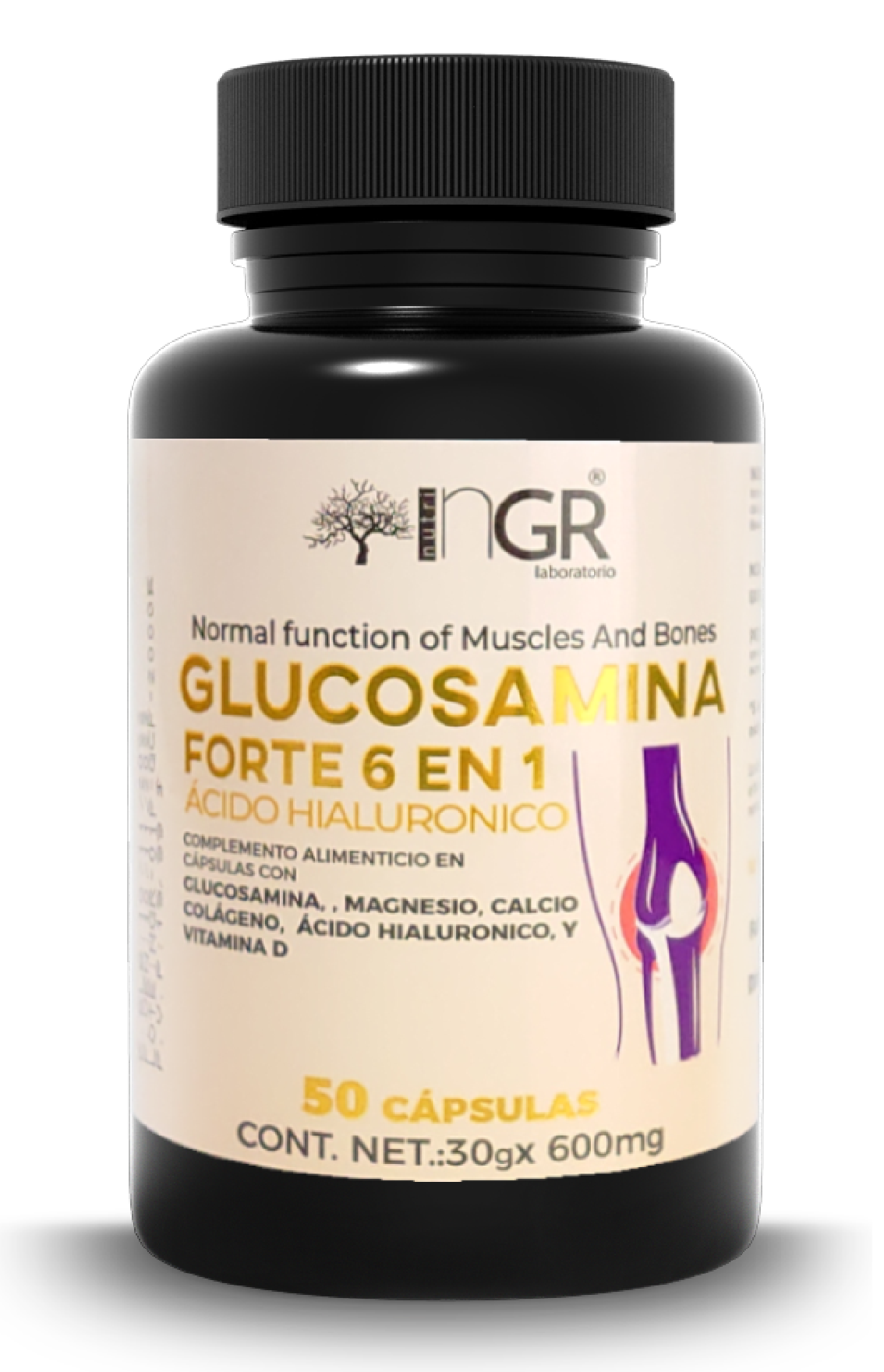 2 TARROS DE GLUCOSAMINA FORTE 100 CAPSULAS