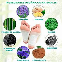 20 parches Herbal detox